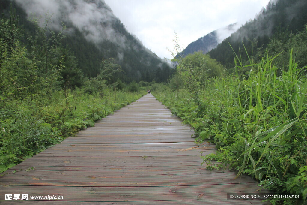 山间木栈道 绿意盎然