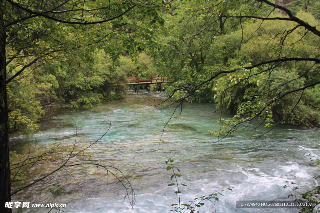 林间溪流 自然清新之景