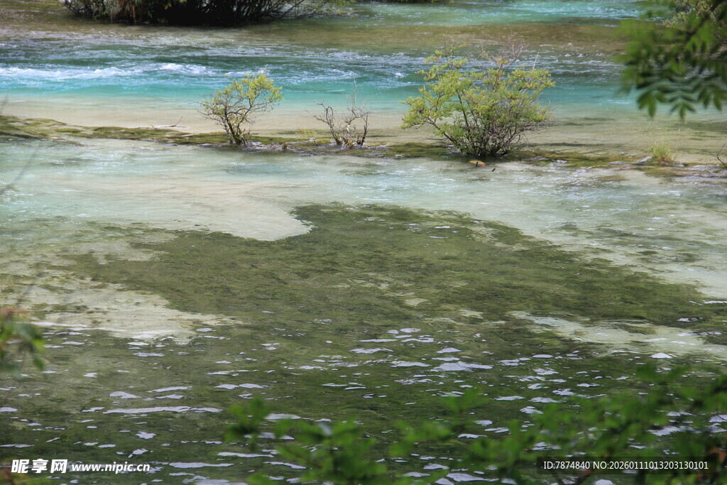 山间清澈溪流与岸边绿植