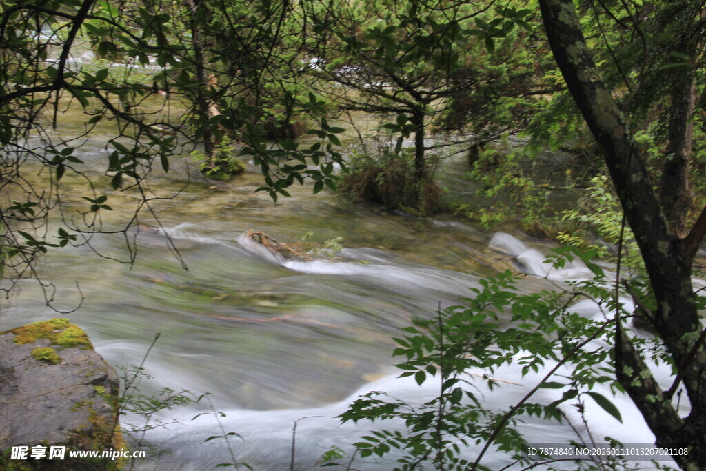 山林间潺潺溪流美景