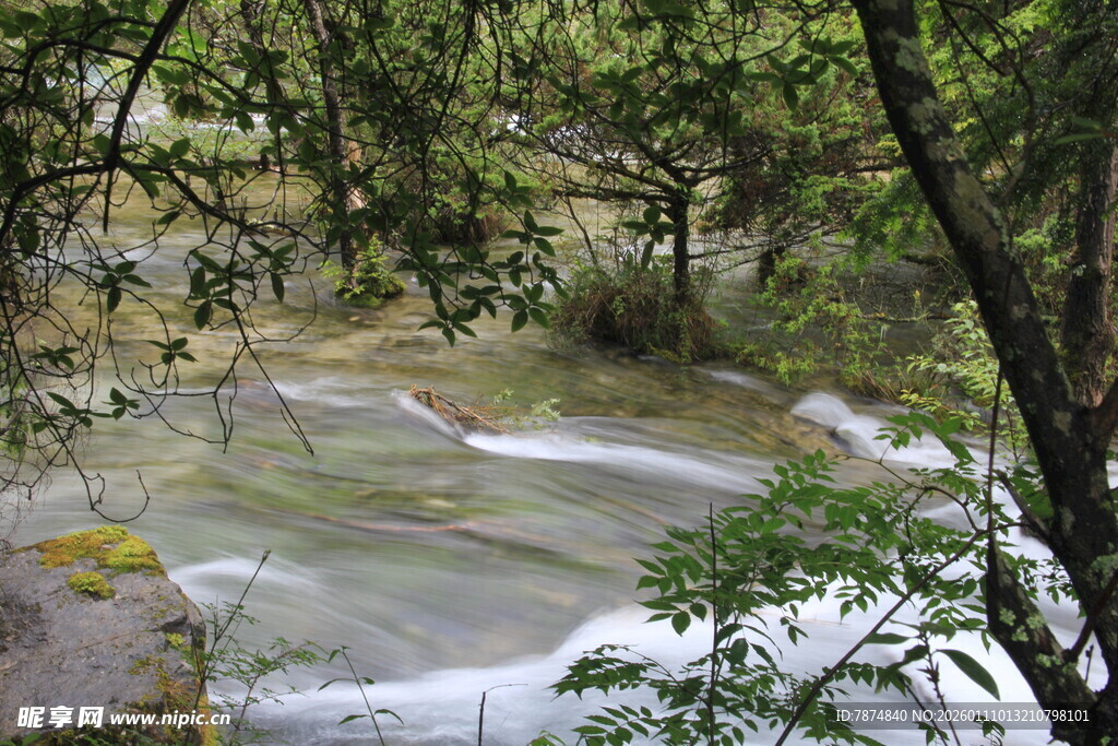 山间溪流潺潺 绿意环绕