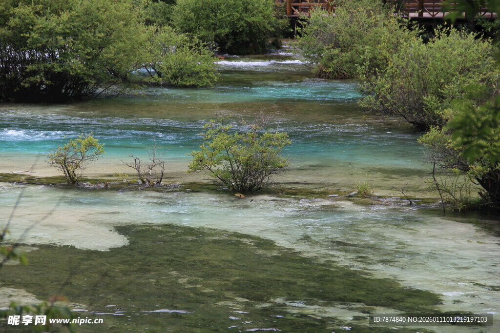 山间清澈多彩溪流景观