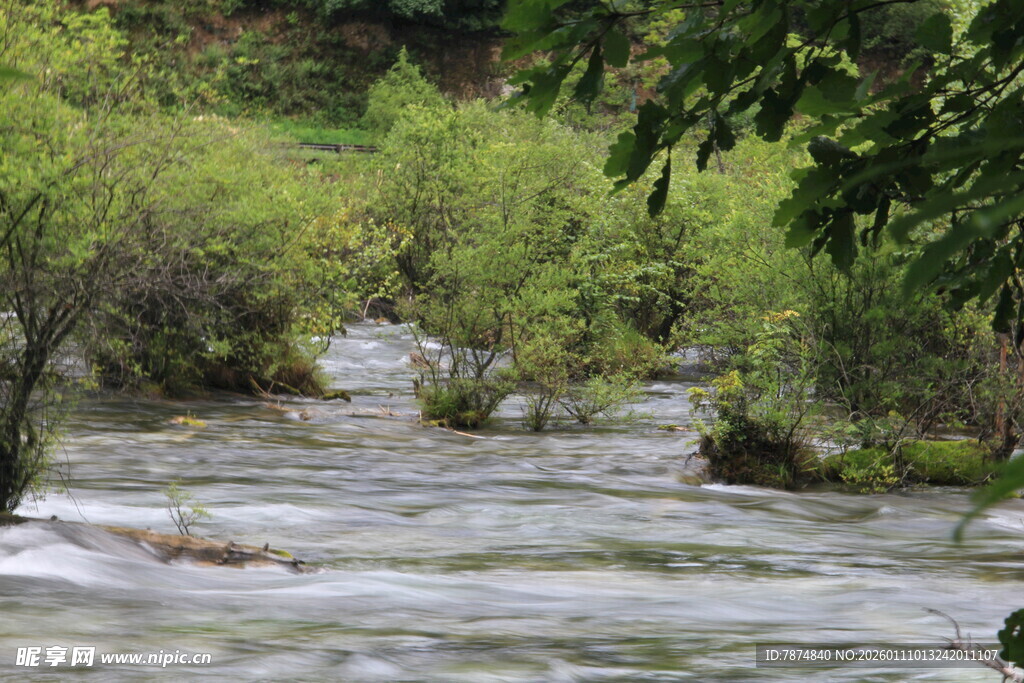山间溪流 绿意盎然的景致