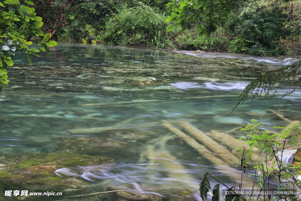 清澈溪流中的木质景象