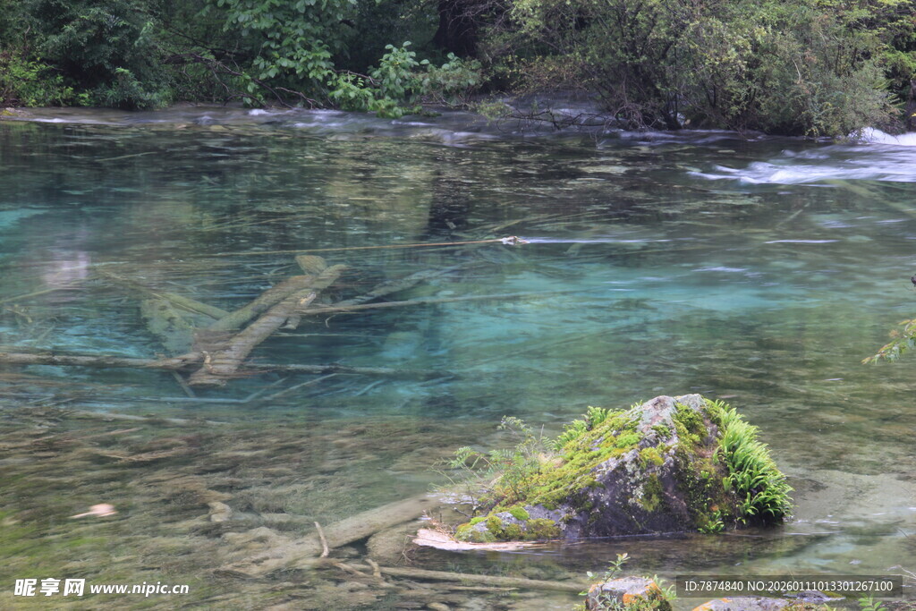 清澈幽潭中的自然景致