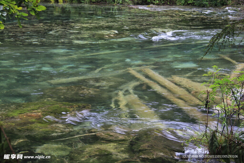 清澈溪谷中的自然纹理
