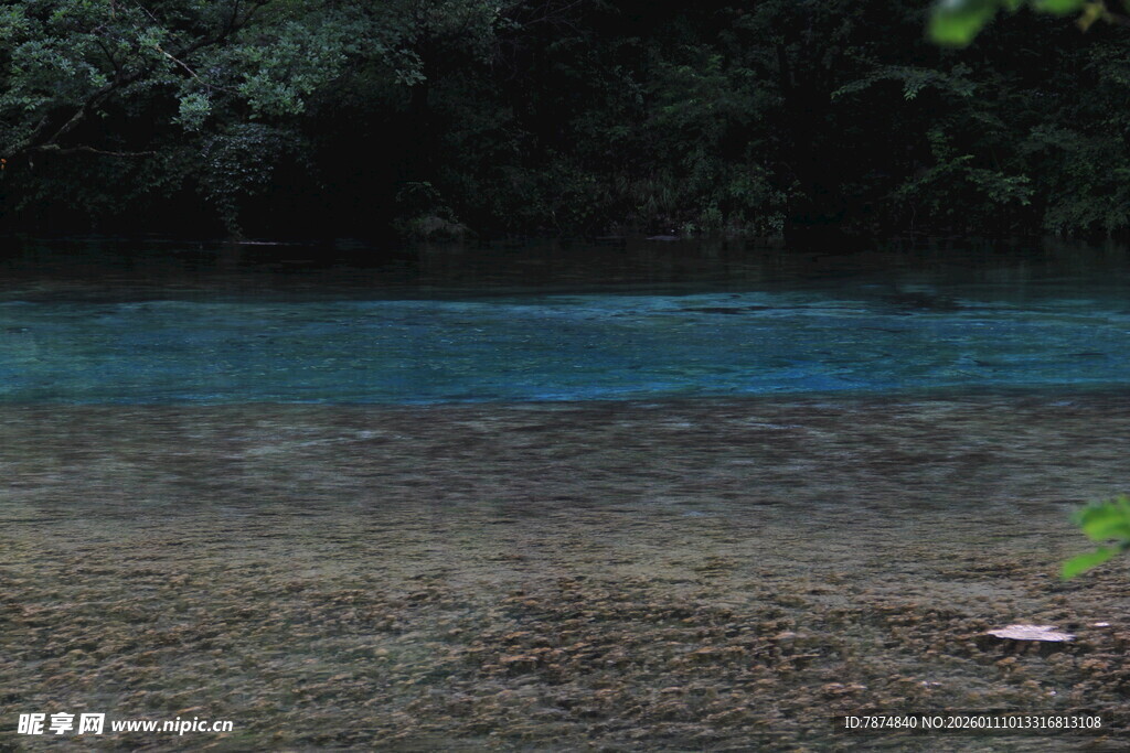 清澈水域边的自然景致