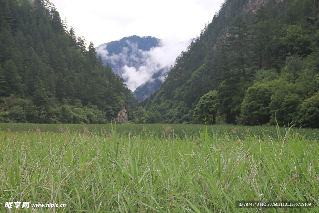 山间绿野 云雾缭绕之景