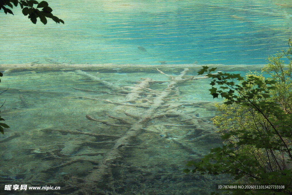 俯瞰翠绿田野与蓝天