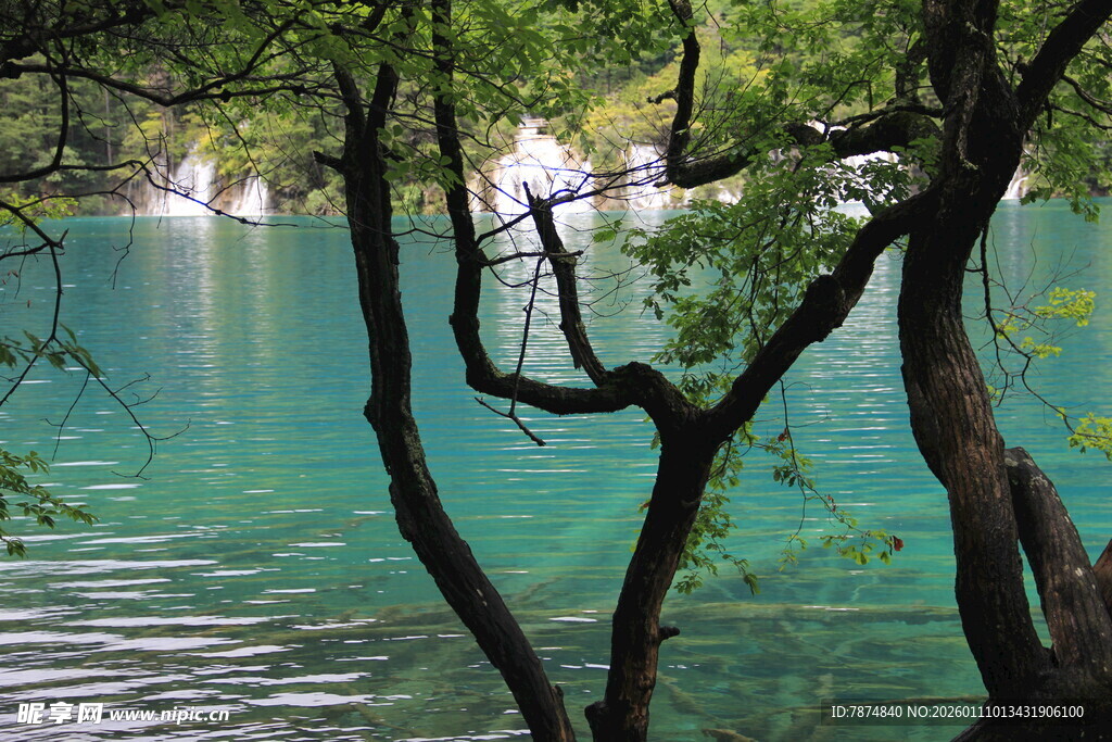 湖畔树影下的幽蓝湖水