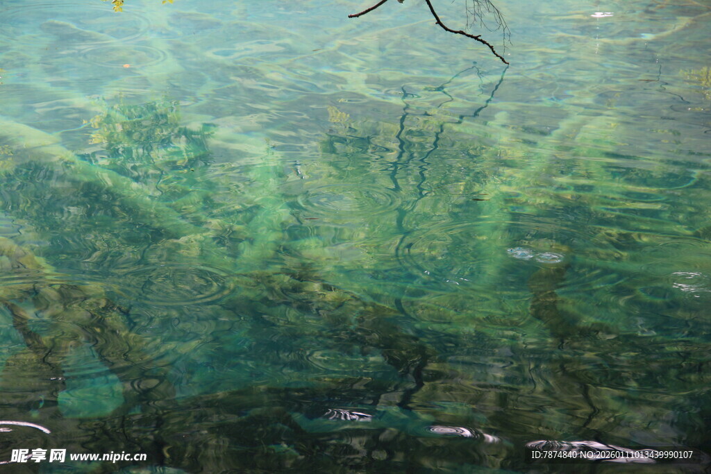 水下的植物景观