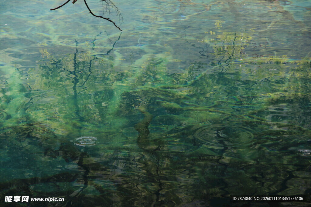 水下绿意景观