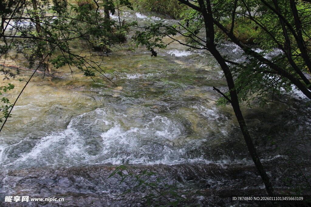 山林间流淌的清澈溪流