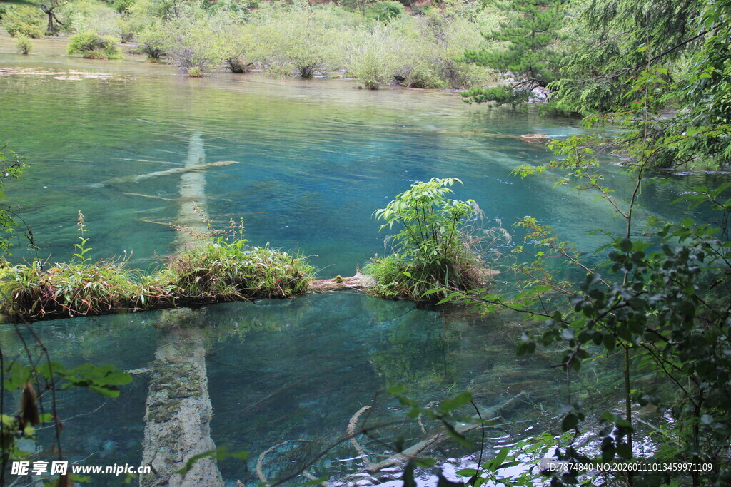 清澈幽蓝的自然潭水景观