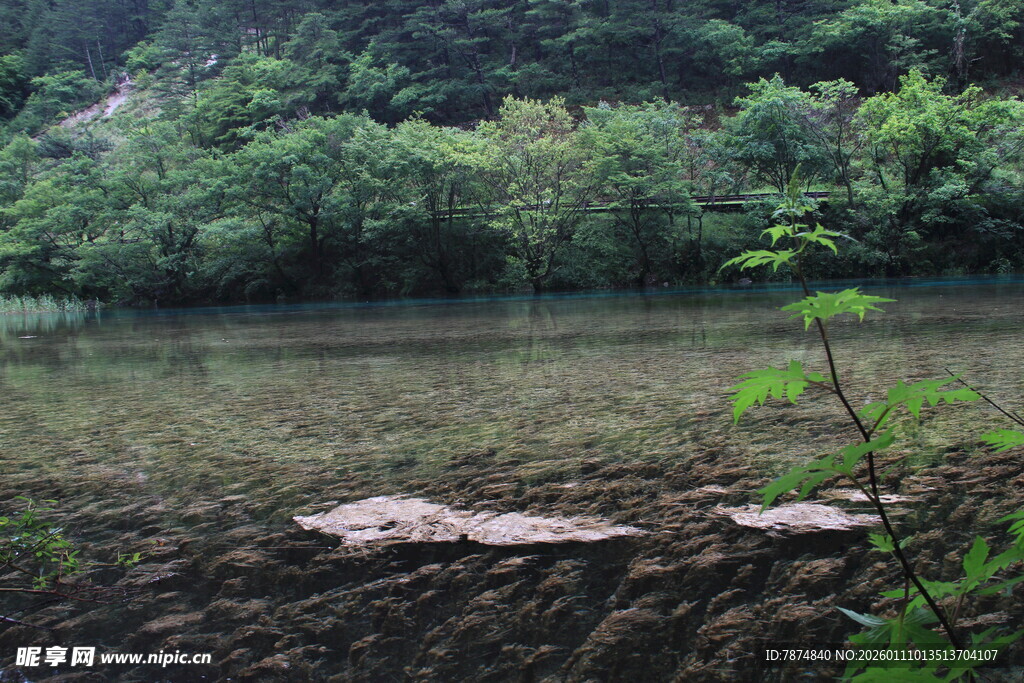 山间静谧水域与岸边景致