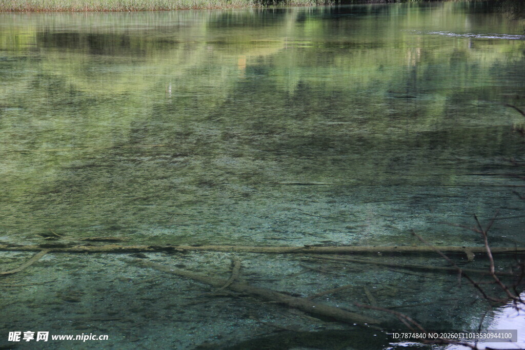 水面倒映的翠绿景致