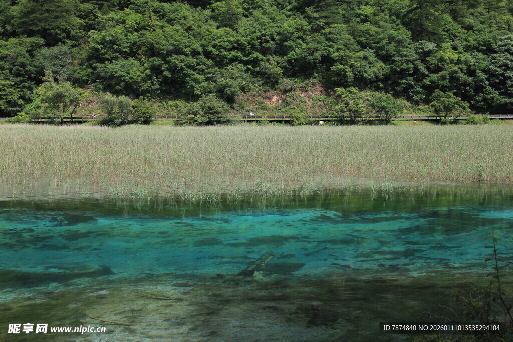 清澈湖水旁的葱郁山林