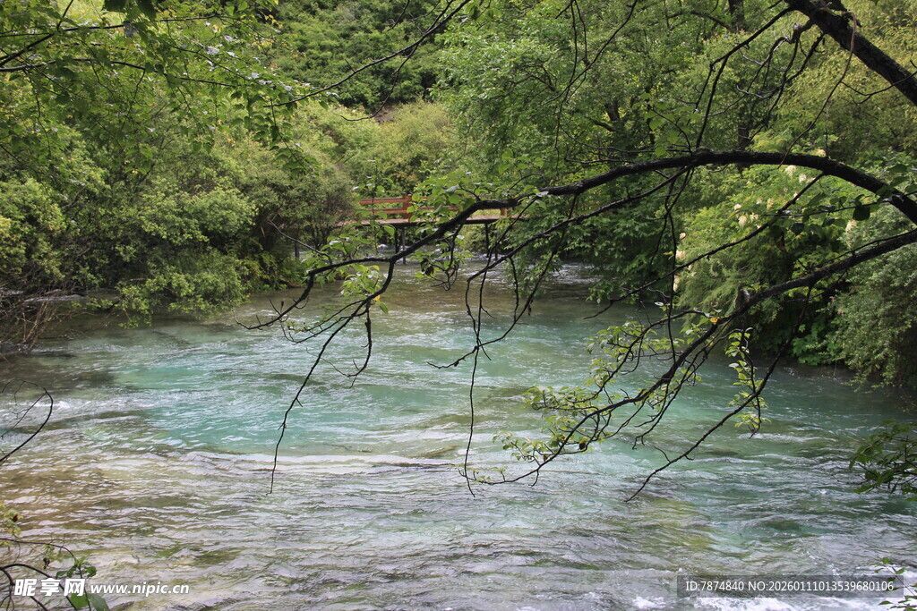 山间溪流 绿意环绕的美景