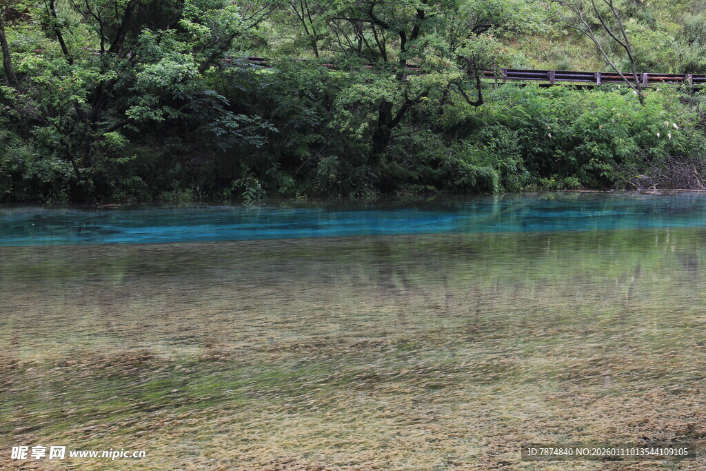 宁静湖边的葱郁树林