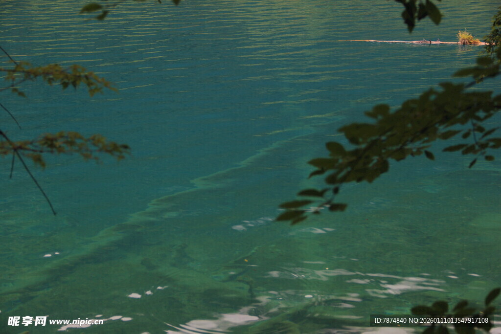 俯瞰清澈海水中的船只