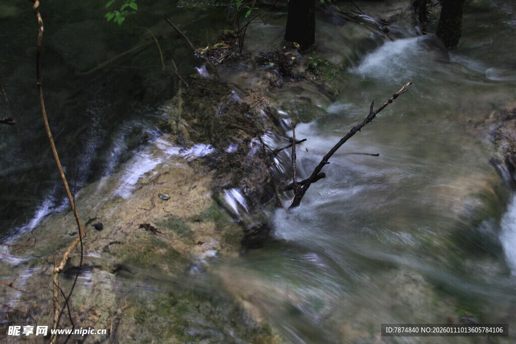 山间溪流中的枯枝