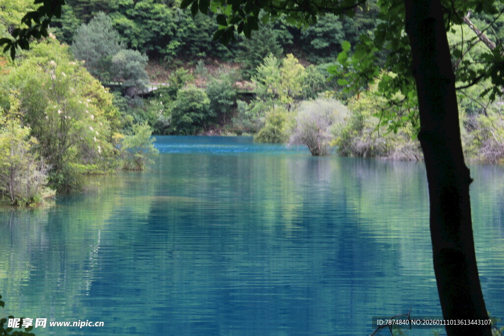 幽美蓝湖映翠林
