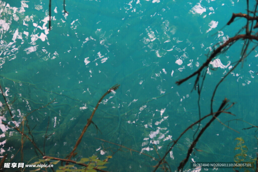 清澈蓝绿海水与漂浮物