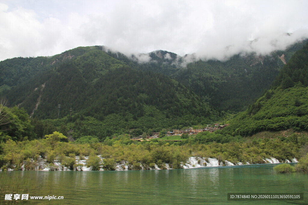青山绿水间的白鹭栖息地