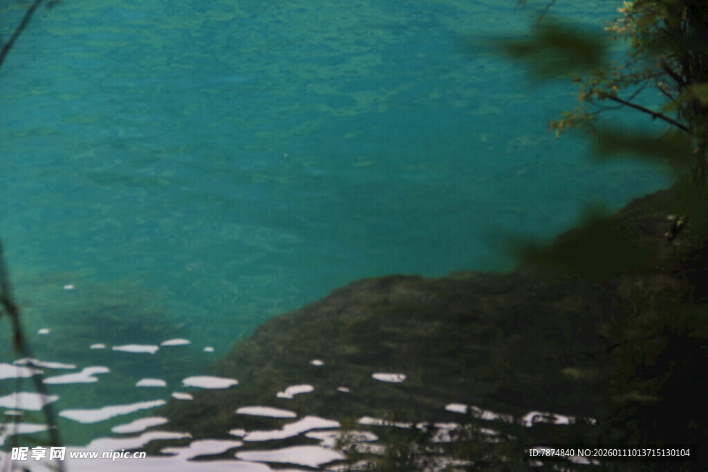 清澈湖水边的自然景致