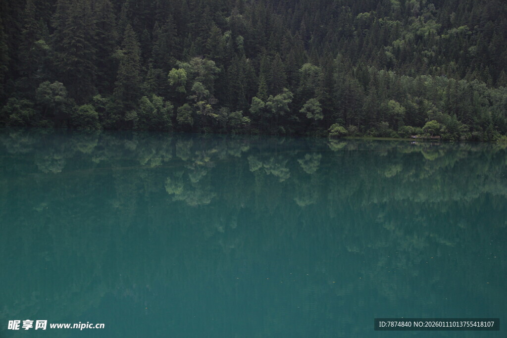 碧绿湖水映岸边林木
