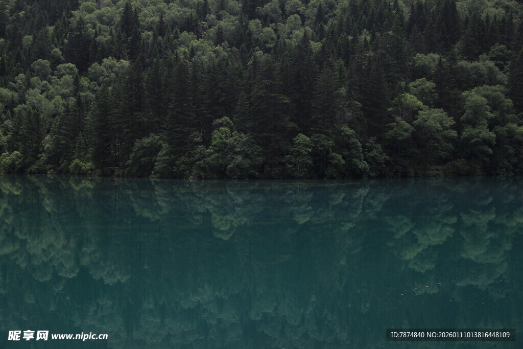 静谧森林旁的幽蓝湖水