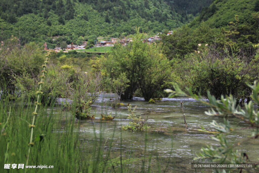 山间溪流旁的自然景致