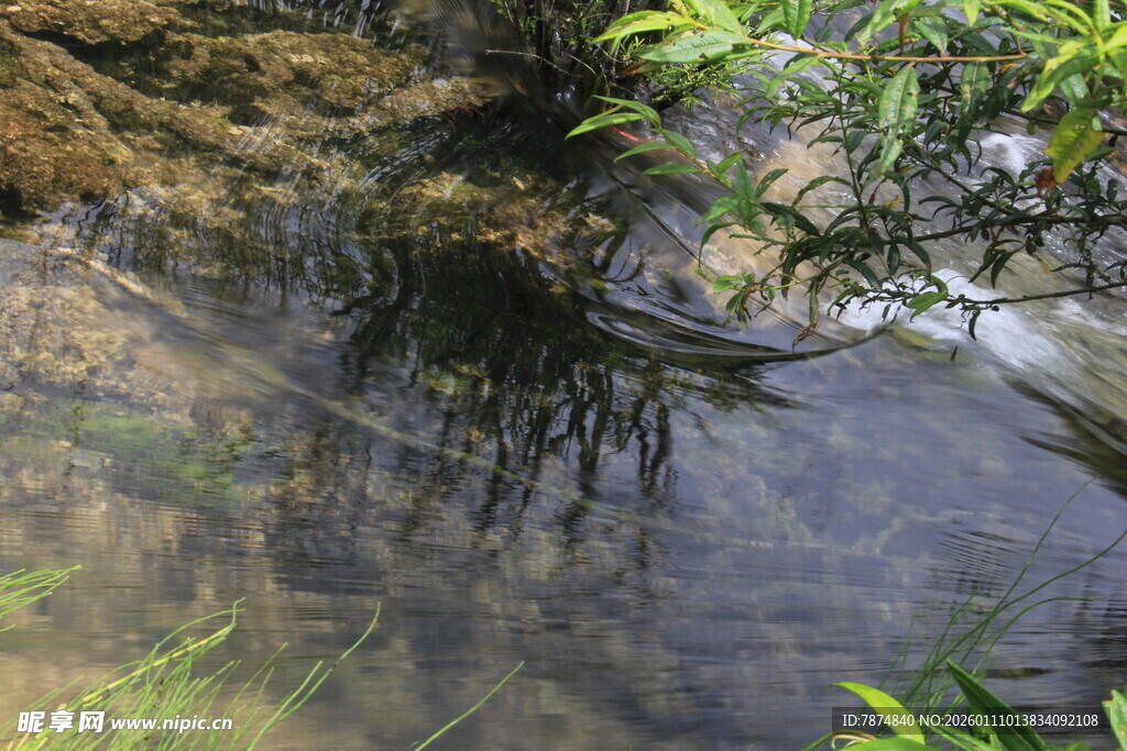 溪边倒影 自然清新景致