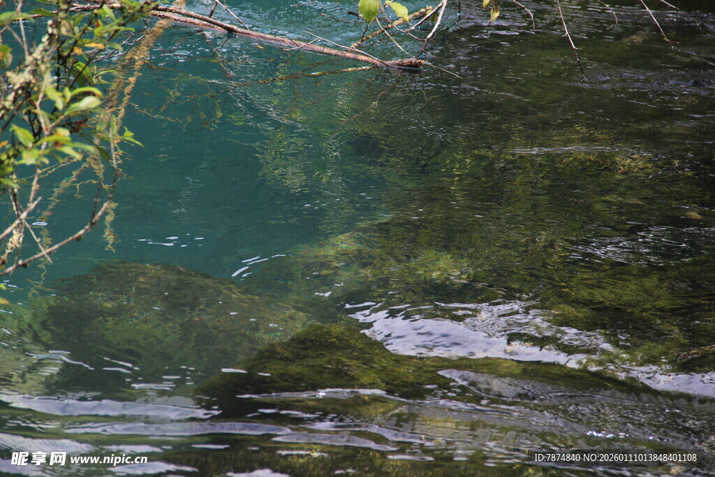 清澈溪流中的水下景致