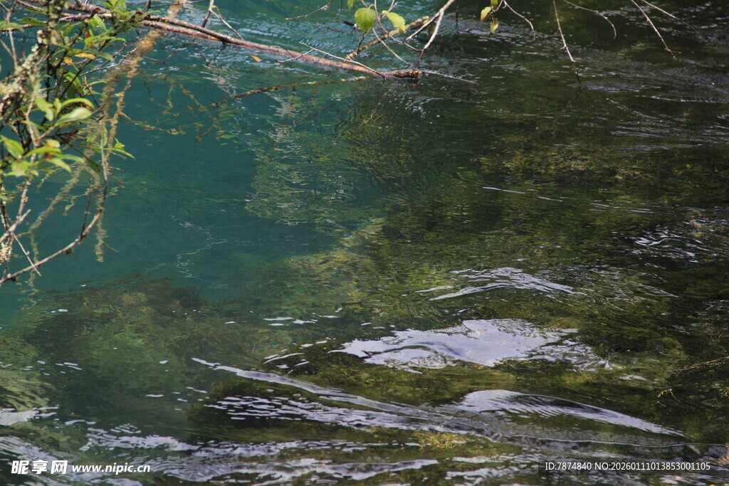 清澈溪水下的嶙峋怪石