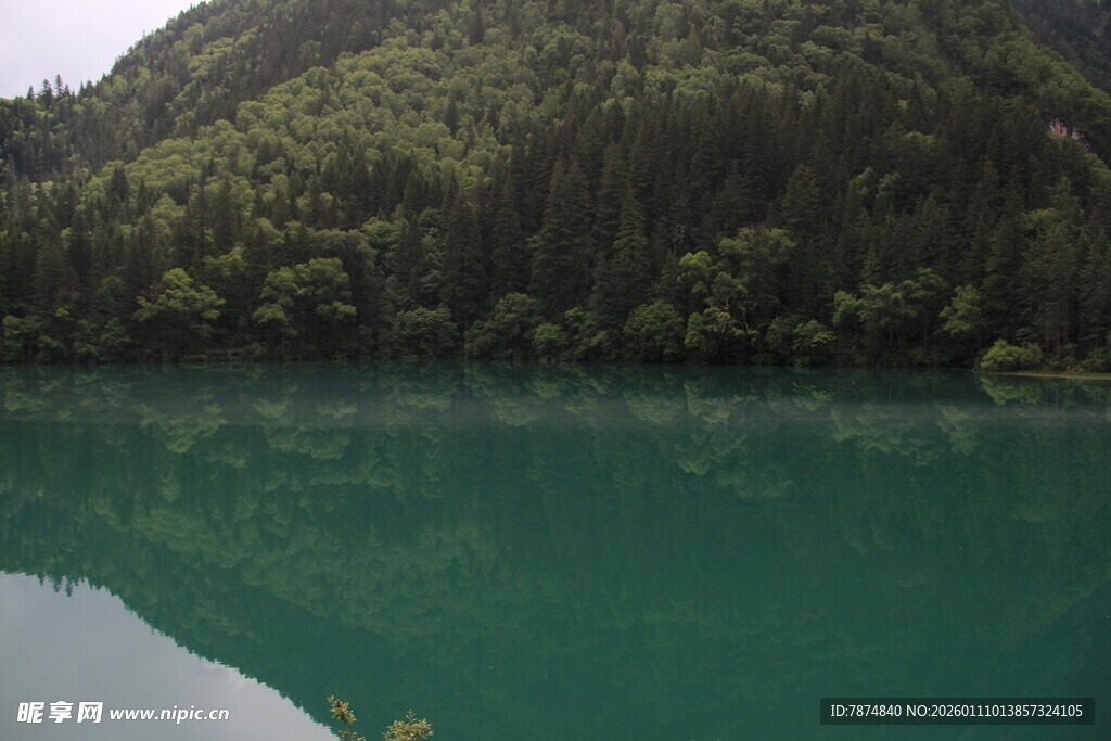翠绿山林环绕的澄澈湖水