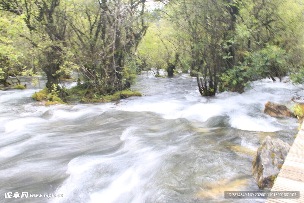 山间溪流潺潺 绿意环绕