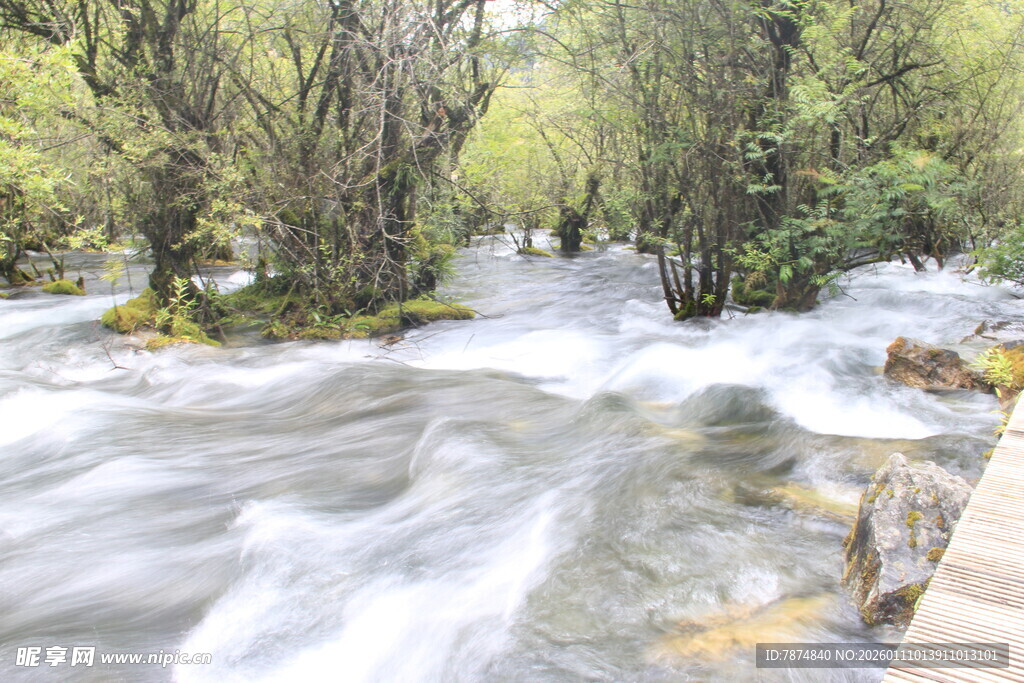 山间溪流穿林而过