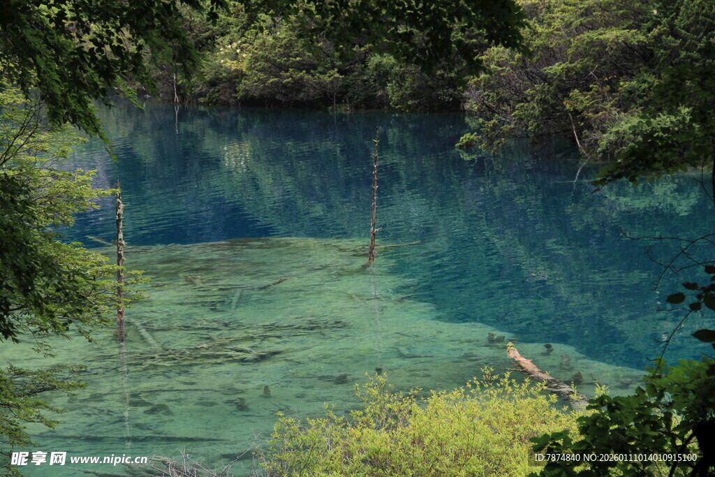 幽蓝清澈的森林湖泊