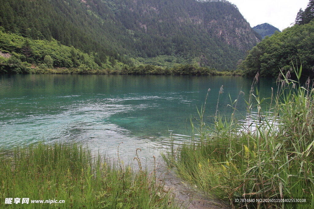 青山绿水间的澄澈溪流