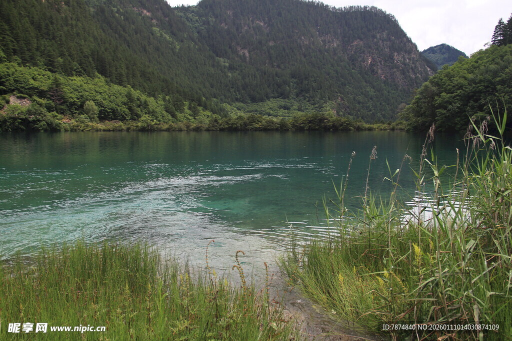 青山绿水间的秀丽河畔