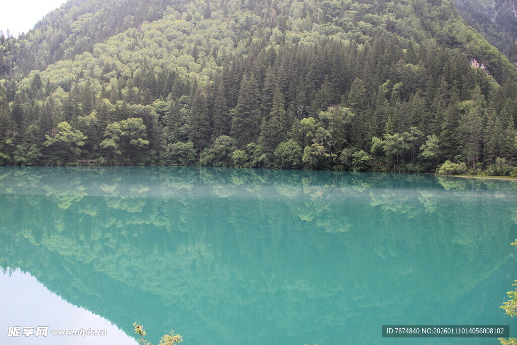 碧绿湖水与葱郁山林美景