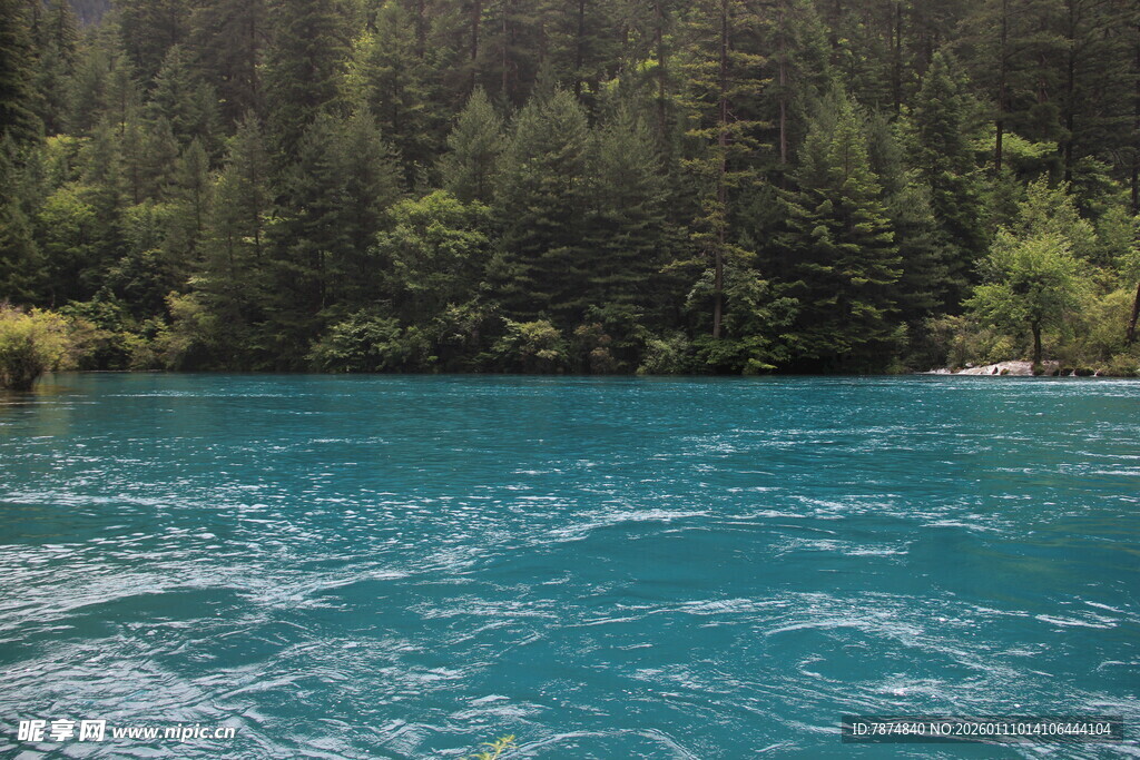蓝绿色湖水与茂密森林
