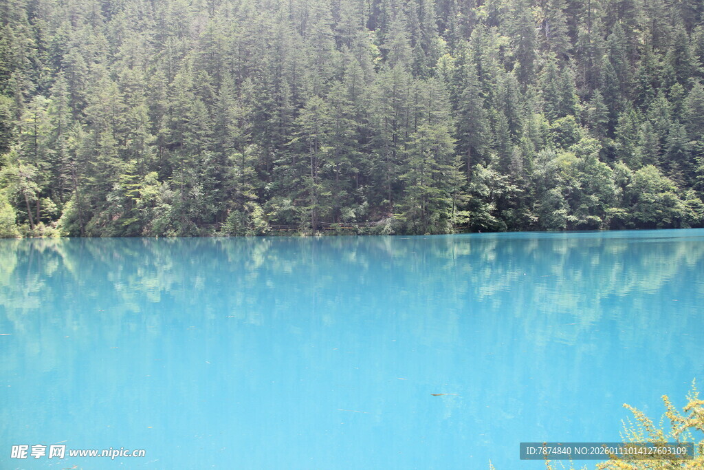 梦幻蓝湖映山林