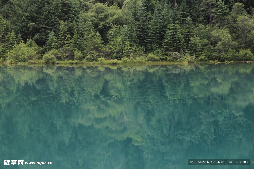 静谧湖水映葱郁森林