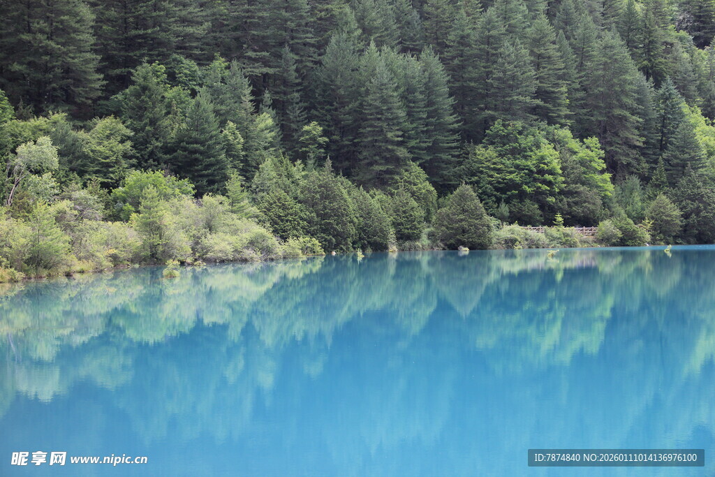 梦幻蓝湖 周边森林美景