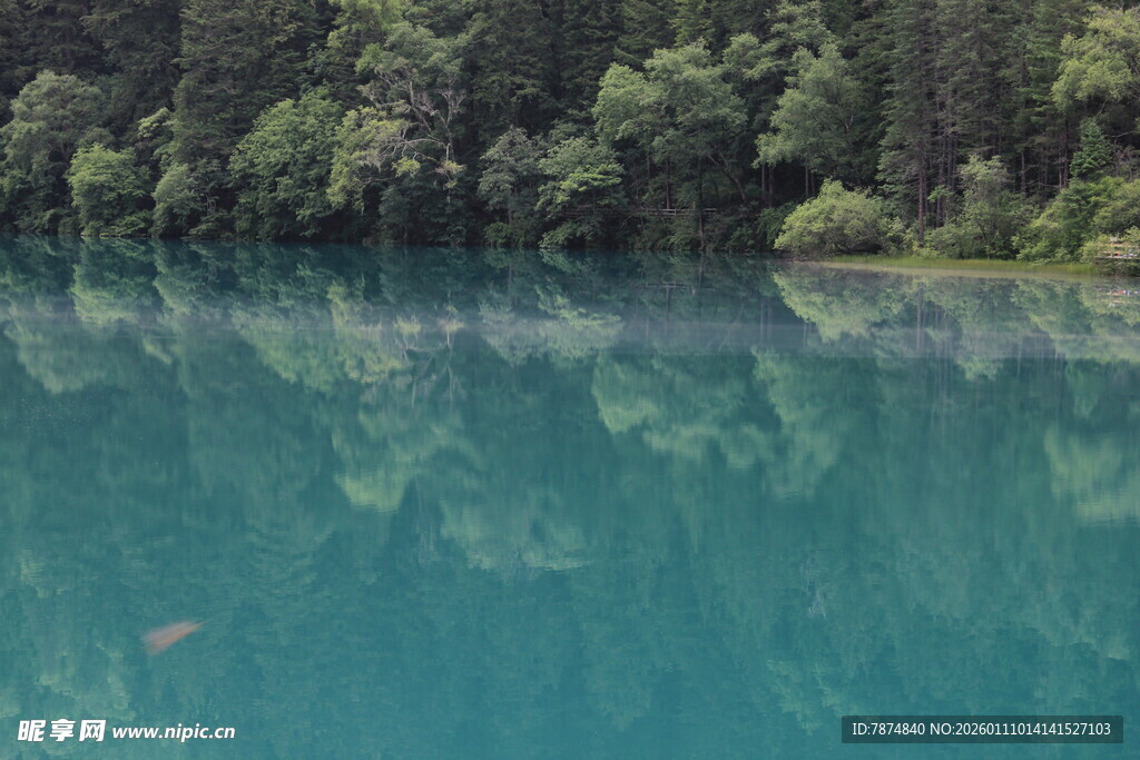 碧绿湖水映葱郁山林