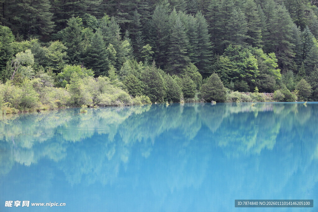蓝湖映林景