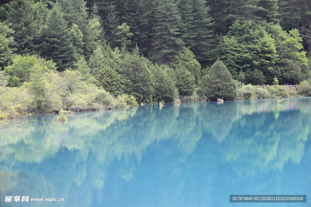 蓝湖映林景 自然之绮丽