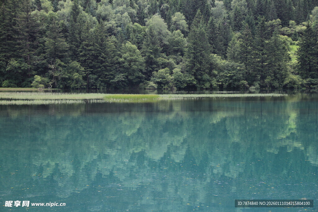 静谧湖景映葱郁山林